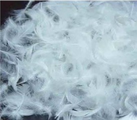 布聯(lián)講堂 如何辨別羽絨制品的好壞