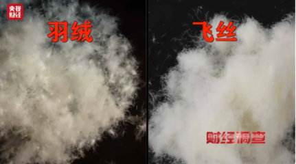 以&ldquo;絲&rdquo;代&ldquo;絨&rdquo;亂象頻生,消費(fèi)者選購(gòu)羽絨服時(shí)應(yīng)注意什么?