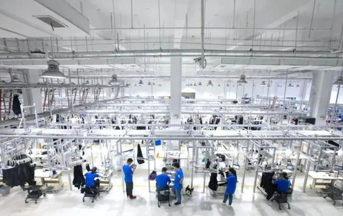 核電概念第一龍頭從87跌至4.5元,凈利潤(rùn)增長(zhǎng)5280 ,有望暴漲