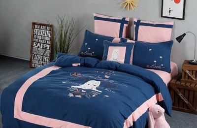 從小作坊到羽絨帝國 一位創(chuàng)業(yè)者的堅守與智慧